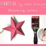 Daydream Apothecary - Kreide-Tonfarbe - BOTANICAL by Chloe Kempster - BLOOMING LOVELY