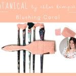 Daydream Apothecary - Kreide-Tonfarbe - BOTANICAL by Chloe Kempster - BLUSHING CORAL