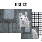 Grace on Design decoupage paper "Bruce" set of 3