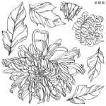 IOD Decor Stempel Chrysanthemum - 2er Set