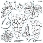 IOD Decor Stempel Grapes