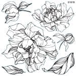 IOD Decor Stamp Peonies - Set of 2