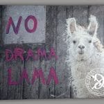 Canvas Print Motivation - Bruce No Drama Lama - Landscape 80 x 60 cm