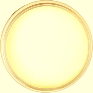 Dixie Belle Chalk Mineral Paint Lemonade