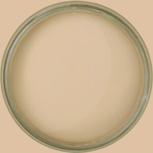 Dixie Belle Chalk Mineral Paint Putty