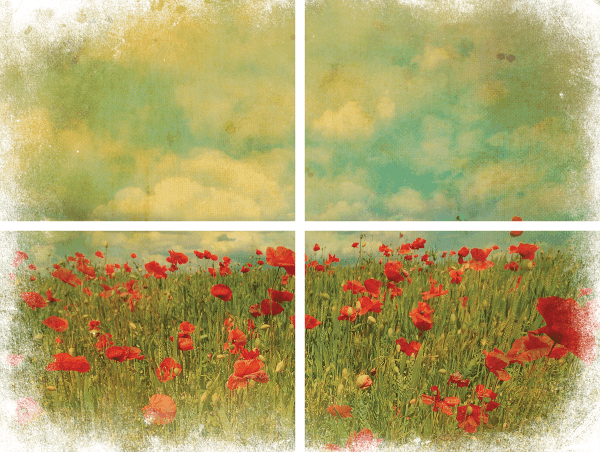 Belles & Whistles Transfer Field of Flowers 61 x 81 cm