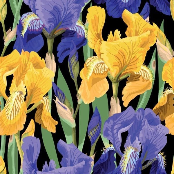 Belles & Whistles Rice Decoupage Paper Floral on Black 3 sheets à 30 x 30cm