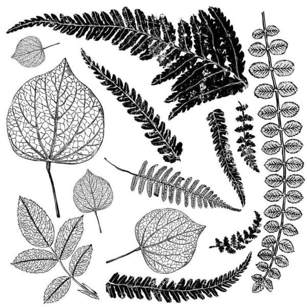 IOD Decor Stempel Fronds