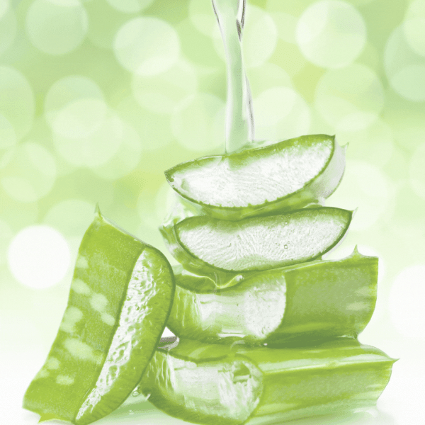 Scrubby Soap Bath & Body Soap - Goat's Milk & Aloe - Image 3