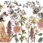IOD Decor Transfer "Japonica"