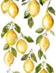 IOD Decor Transfer "LEMON Drops"