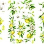 Belles & Whistles Transfer Lemon Zest 3 sheets each 20.32 cm x 30.48 cm