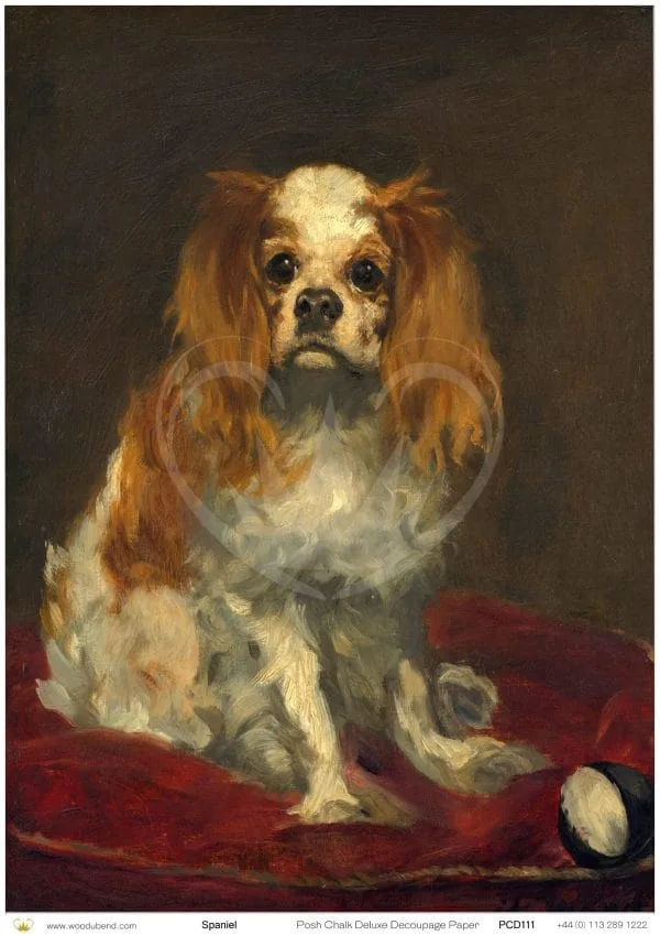 Posh Chalk Deluxe Decoupage SPANIEL - The House of Mendes Collection