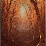 Posh Chalk Deluxe Decoupage AUTUMN CLEARING