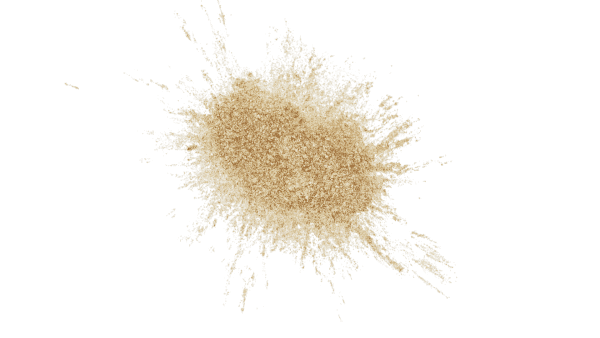 Posh Chalk Pigments - Pale Gold – Bild 2