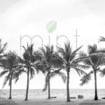 Mint by Michelle Decoupage Papier "Palm Trees"