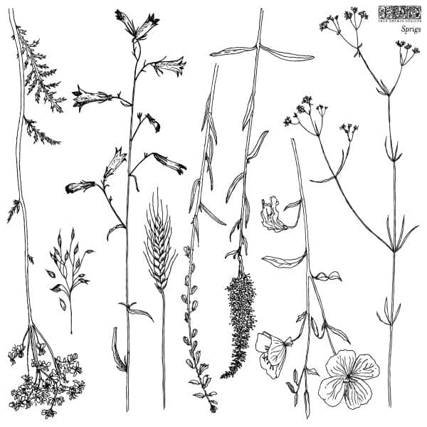IOD Decor Stempel Sprigs