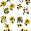 Belles & Whistles Dekortransfer „Sunflower“ – gelbe Sonnenblumen mit grünen Blättern, einzelne Blüten und längliche Blumenarrangements.
