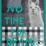 Canvas Print Motivation - Bruce No Time for Drama - Portrait 50 x 40 cm