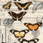 Belles & Whistles Tissue Decoupage A1 Vintage Butterflies 50,8 x 76,2 cm
