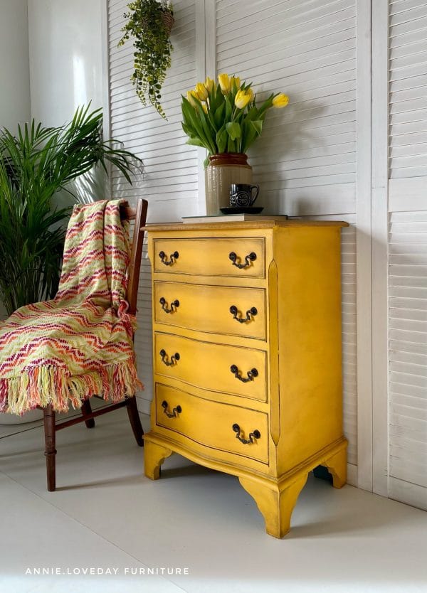 Dixie Belle Chalk Mineral Paint Colonel Mustard - Image 3