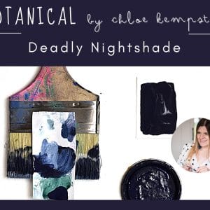Daydream Apothecary - Kreide-Tonfarbe - BOTANICAL by Chloe Kempster - DEADLY NIGHTSHADE