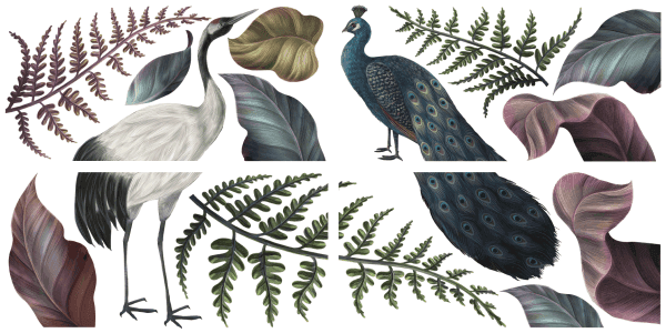 Belles & Whistles Transfer Elegant Avian Flora 4 Blatt je 15,24 cm x 30,48 cm