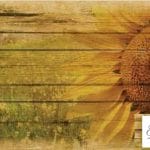 Grace on Design Decoupage Papier "Sunflower Fields" Größe 30,48 cm x 45,72 cm (12″ x18″)