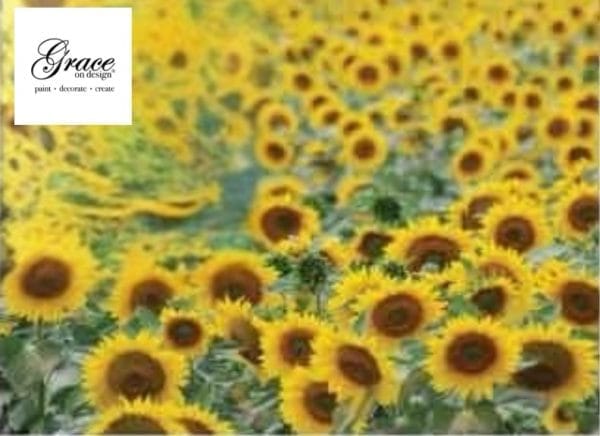 Grace on Design Decoupage Papier "Sunflower Fields Muster" Größe 45,72 cm x 60,96 cm (18"x 24")