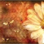 Grace on Design Decoupage Papier "Let it Bee" Größe 30,48 cm x 45,72 cm (12″ x18″)