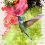 Grace on Design Decoupage Papier "In Flight" Größe 60,96 cm x 91,44 cm (24″x 36″)
