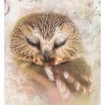 Grace on Design Decoupage Papier "Owlie" Größe 60,96 cm x 91,44 cm (24″x 36″)