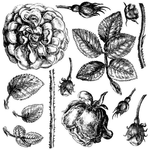 IOD Decor Stempel Lady of Shalott – Bild 2