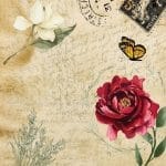 Belles & Whistles Reis Decoupage Paper Old Postcard DIN A3