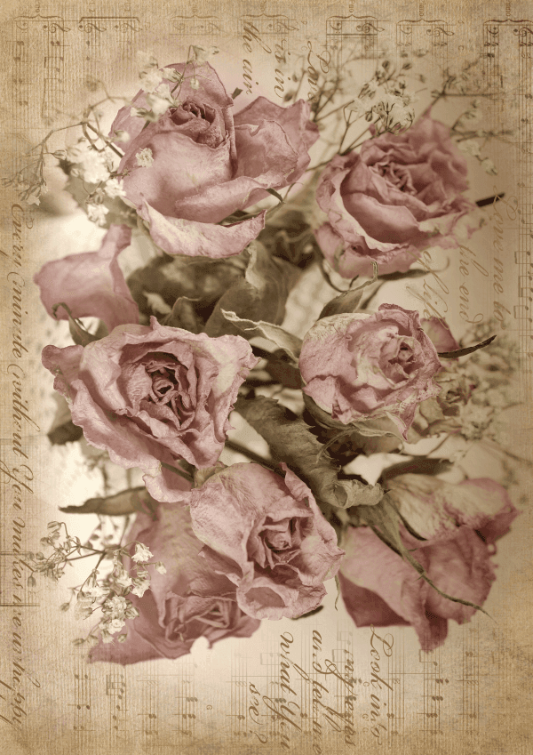 Belles & Whistles Reis Decoupage A1 Sepia Rose Song 59.4 x 84.1