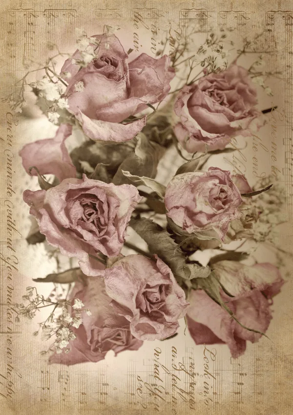 Belles & Whistles Rice Decoupage A1 Sepia Rose Song 59.4 x 84.1