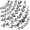 IOD Decor Stempel Wreath Builder