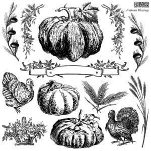 IOD Decor Stempel Autumn Blessings