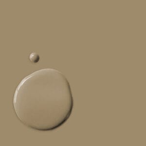 Annie Sloan Chalk Paint™ Coco