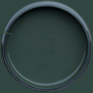 Dixie Belle Silk All In One Mineral Paint Acadia