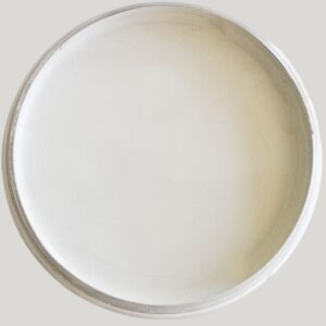 Dixie Belle Silk All In One Mineral Paint Baja Gray