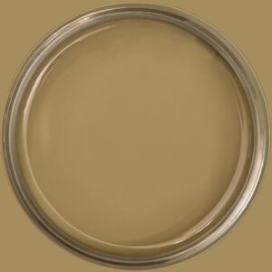 Dixie Belle Silk All In One Mineral Paint Cactus