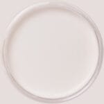 Dixie Belle Silk All In One Mineral Paint Chantilly