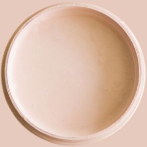 Dixie Belle Silk All In One Mineral Paint Conch