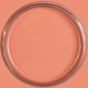 Dixie Belle Silk All In One Mineral Paint Desert Rose