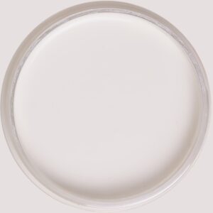 Dixie Belle Silk All In One Mineral Paint Elderflower