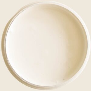 Dixie Belle Silk All In One Mineral Paint Endless Shore