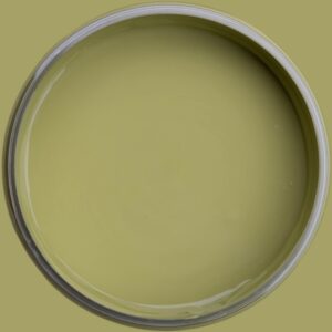 Dixie Belle Silk All In One Mineral Paint Everglades