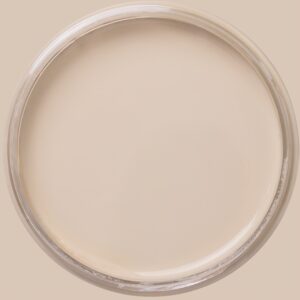 Dixie Belle Silk All In One Mineral Paint French Villa