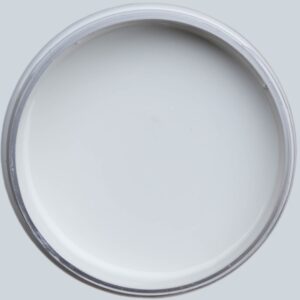 Dixie Belle Silk All In One Mineral Paint Glacier